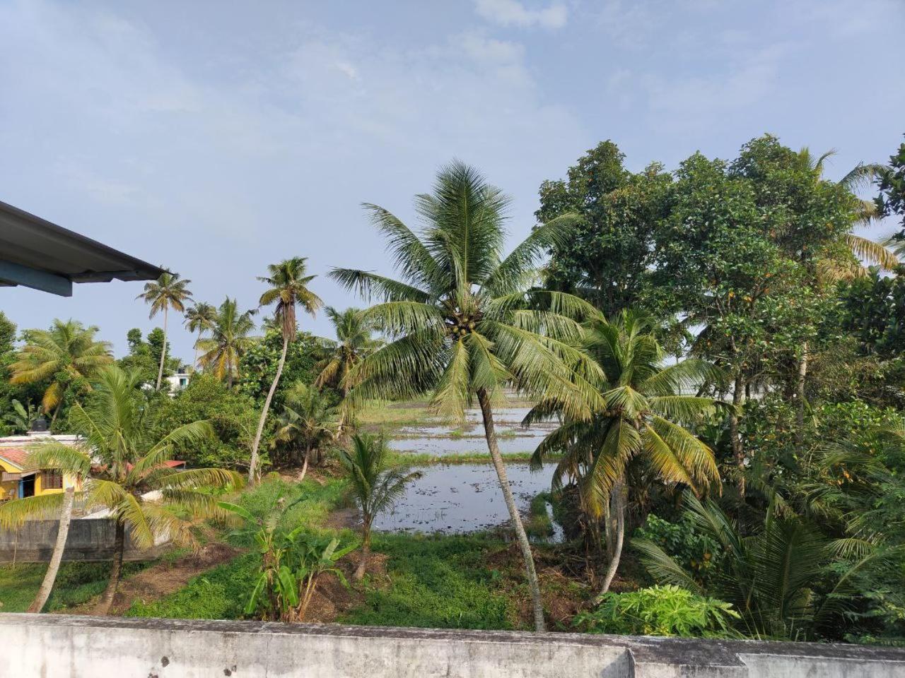 Paddy N Canal Homestay Alappuzha المظهر الخارجي الصورة