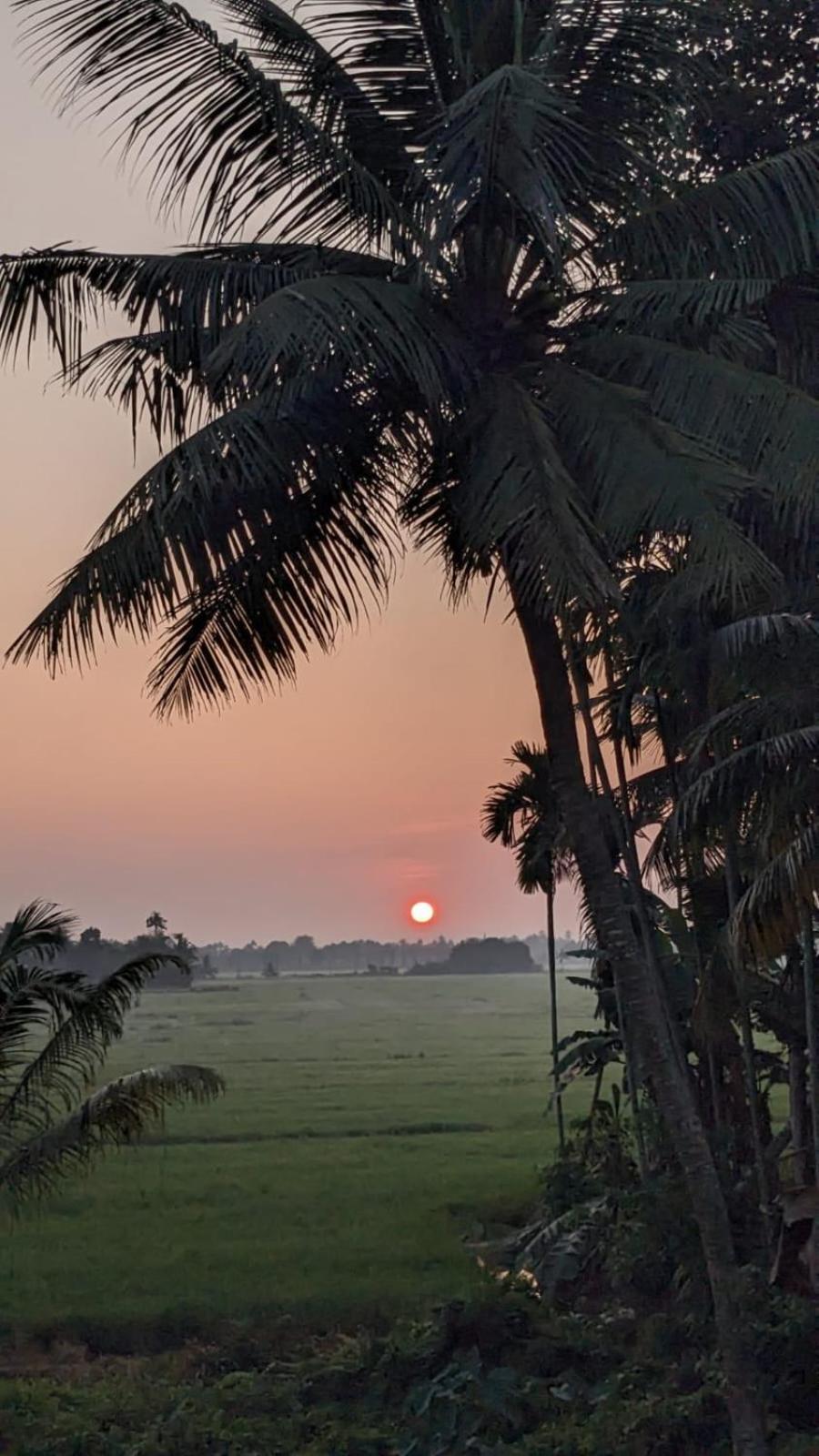 Paddy N Canal Homestay Alappuzha المظهر الخارجي الصورة